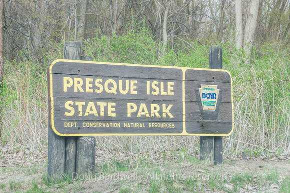 Presque_Isle-9508