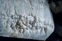 170610-8105