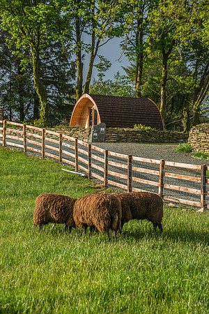 PodPairc-3971