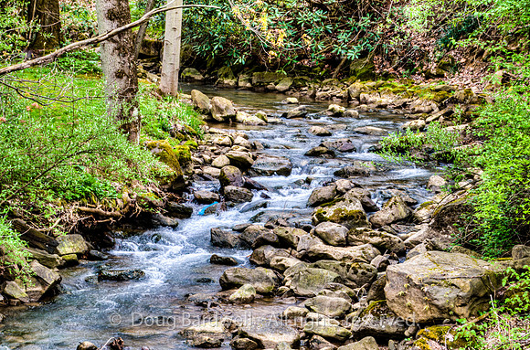 17-Great_Allegheny_Passage