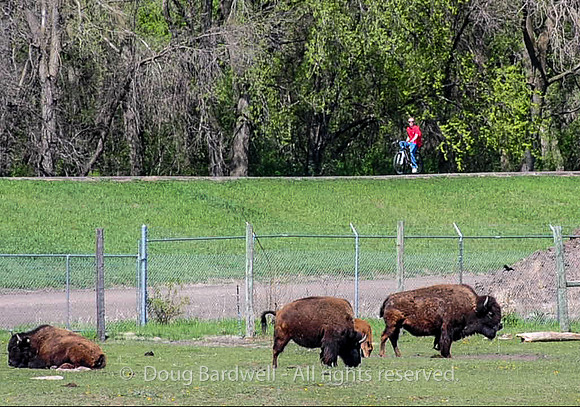 Sioux-Falls-1