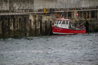 Ireland-1397