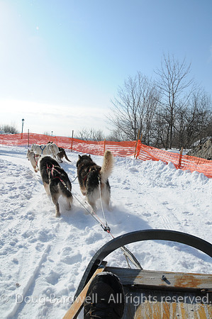 Quebec_Winter_Carnival-8306