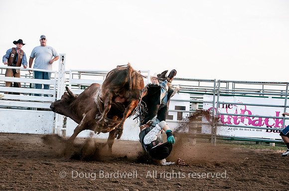 Rodeo-7684