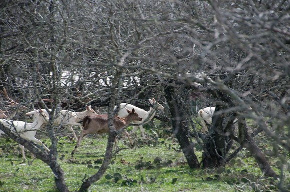 120221DSC_2002