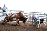 Rodeo-7687