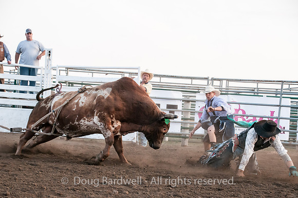 Rodeo-7687