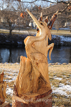 Chainsaw-Carvers-1048