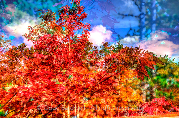 121016-2419_H