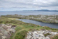 Sheepshead-3079