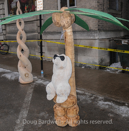 Chainsaw-Carvers-1007