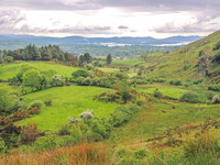 West_Cork-8986