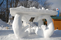 Quebec_Winter_Carnival-8285