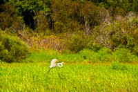 100921_3CS0977