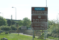 Ireland-4608