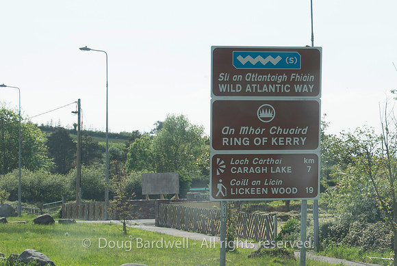 Ireland-4608