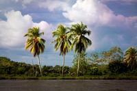 110627_DSC7742-PS-2-PS