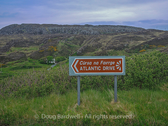 Ireland-8531