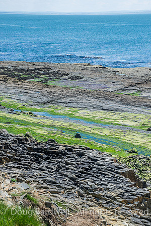 Ireland-4473