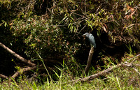100921_3CS0987