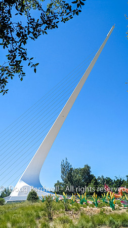 240515-PXL7a-001331