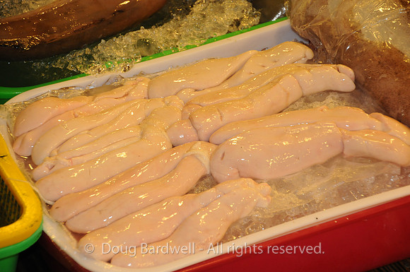 Fugui fishmarket-1505