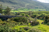 Ireland-4640