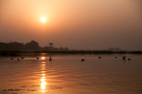 Nal Sarovar-9009