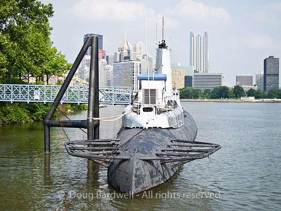 100602IMG_2355
