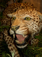 111012IMG_0432