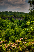 NaturalBridge-108