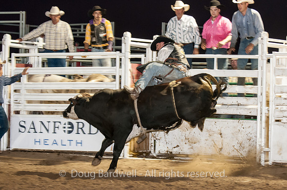 Rodeo-7881