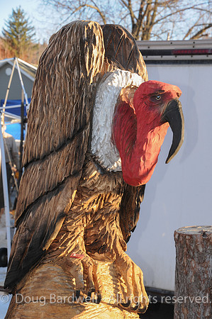 Chainsaw-Carvers-1052