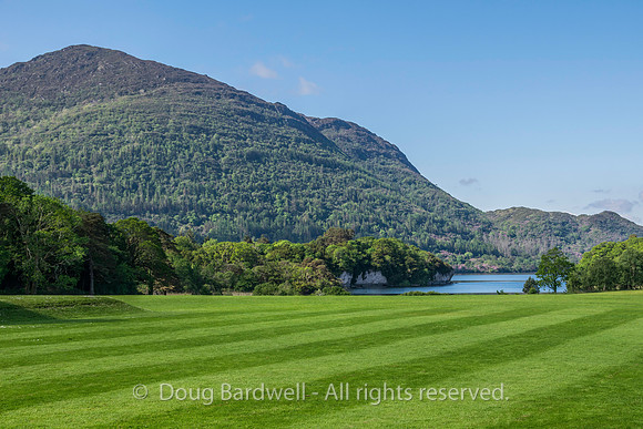 Ireland-5525
