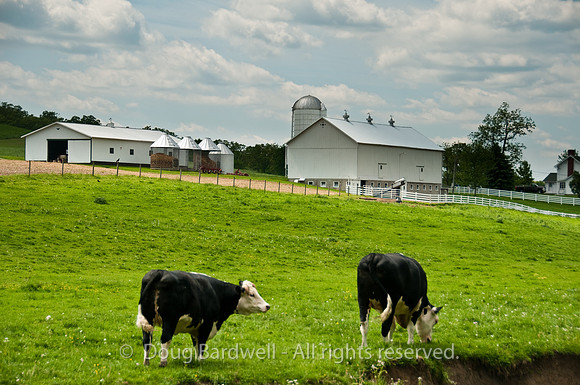 100515_3CS0352