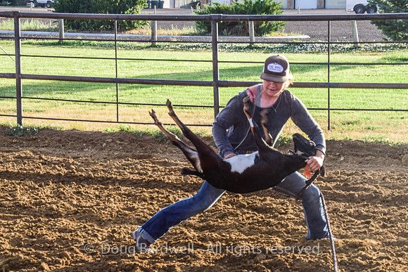 Sheridan-Rodeo-2033