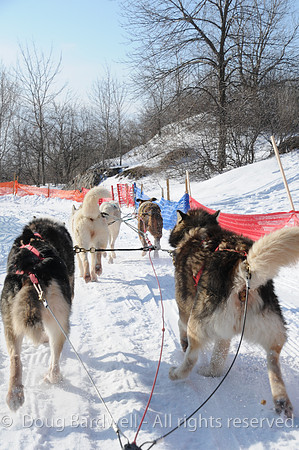 Quebec_Winter_Carnival-8305