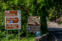 Ireland-5493
