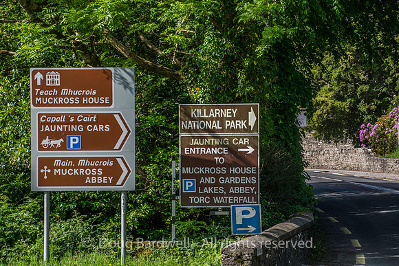 Ireland-5493