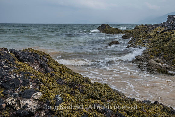 Donegal-1659