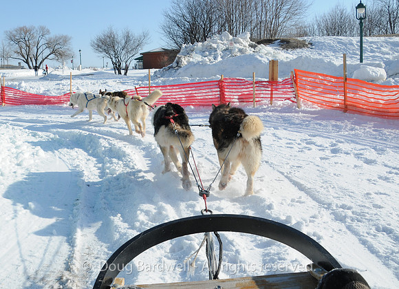 Quebec_Winter_Carnival-8309