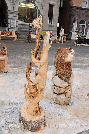 Chainsaw-Carvers-1014
