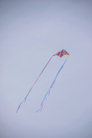 Kite-7326