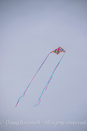 Kite-7326