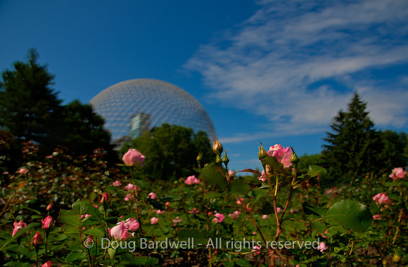 Montreal--4