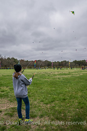 Kite-7134
