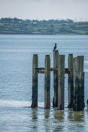 Ireland-4579