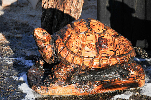 Chainsaw-Carvers-1037