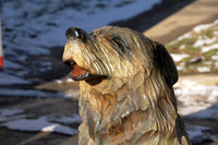 Chainsaw-Carvers-1020