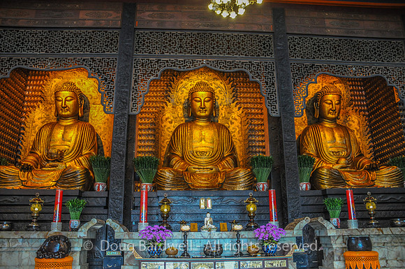 Kaohsiung-2762
